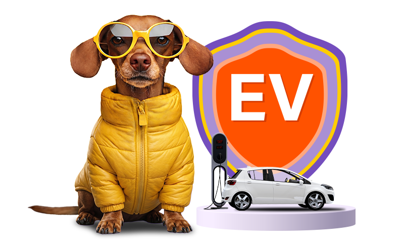 ประกันรถยนต์ไฟฟ้า EV คืออะไร? | คุ้มค่า 