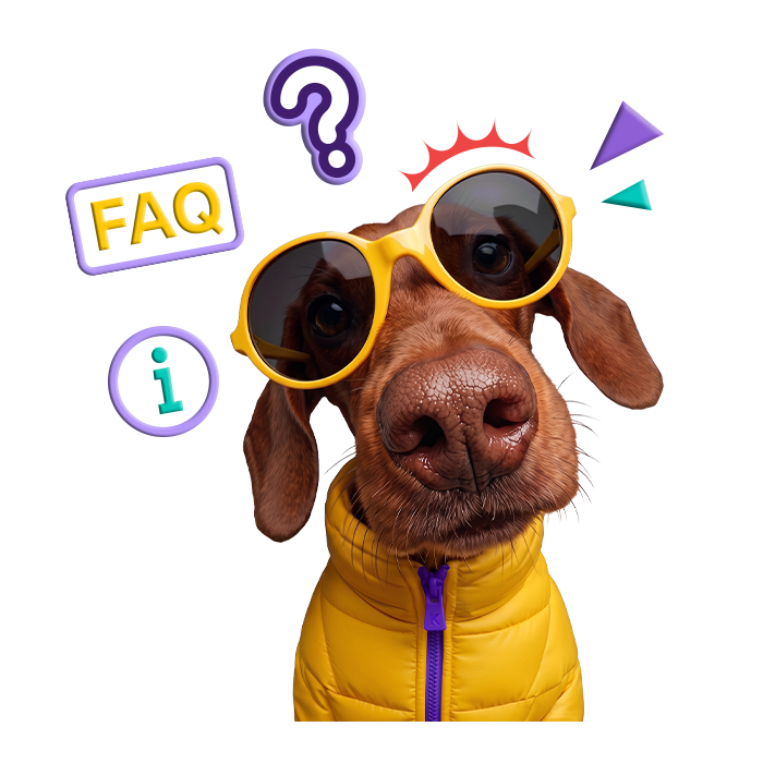 คำถามที่พบบ่อย (FAQ) | คุ้มค่า  