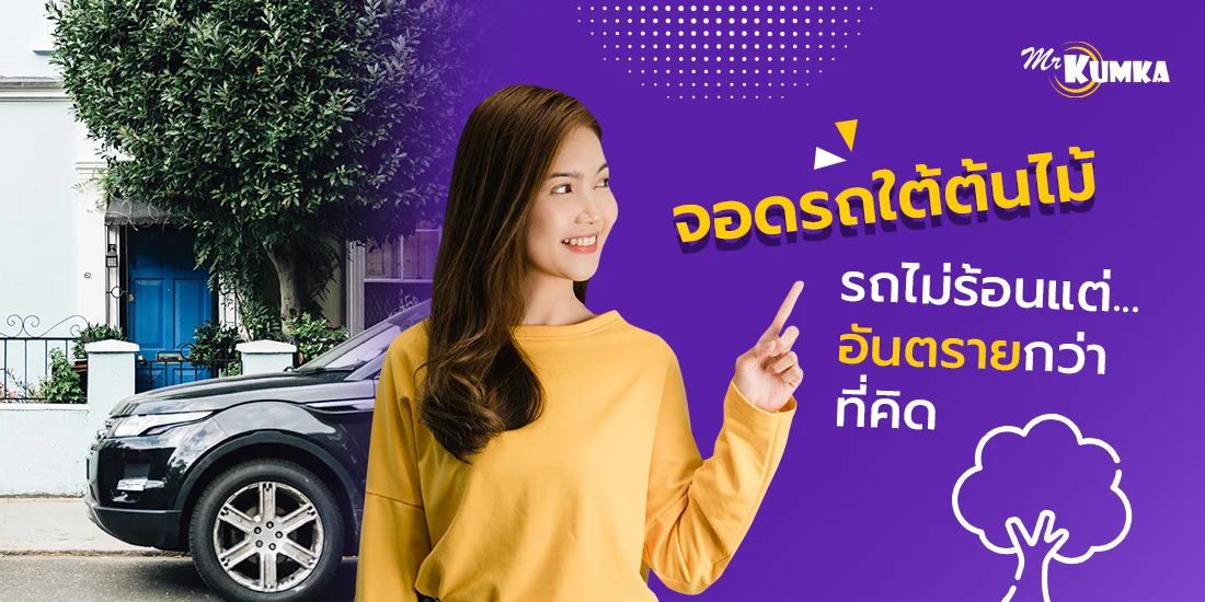 จอดรถใต้ต้นไม้ รถไม่ร้อนแต่อาจจะอันตรายกว่าที่คุณคิด เกิดความเสียหายได้อย่างไรบ้าง
