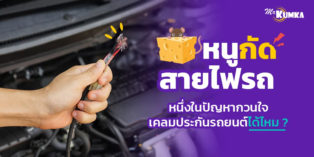 หนูกัดสายไฟรถ หนึ่งในปัญหากวนใจ เคลมประกันรถยนต์ได้ไหม ?