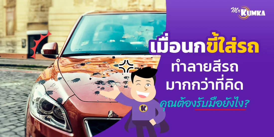 นกขี้ใส่รถ ทำลายสีรถมากกว่าที่คิด คุณต้องรับมือยังไง ?
