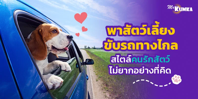 เคล็ดลับ ! พาสัตว์เลี้ยงขับรถทางไกล สไตล์คนรักสัตว์ ไม่ยากอย่างที่คิด